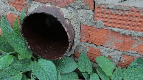 Pipe from the wall 03 Stock Footage 106490822