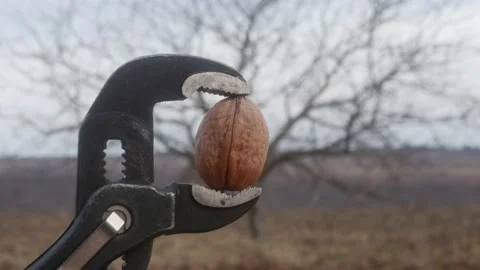 Pipe wrench splits walnut on blurred background Vídeos de archivo 166131470