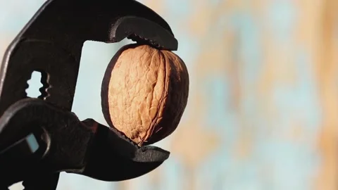 Pipe wrench splits walnut on blurred background 스톡 동영상 167278929
