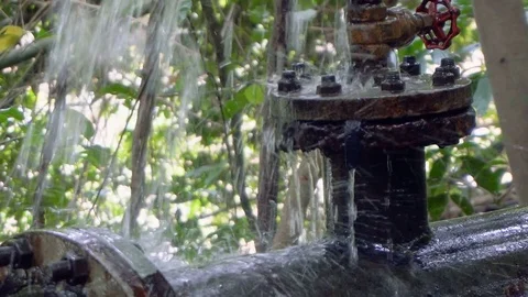 Pipeline Burst in Tropical Forest Stock Footage