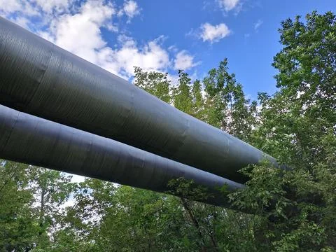 Pipeline in the forest Stock Photos