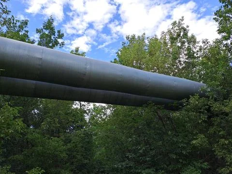 Pipeline in the forest Stock Photos