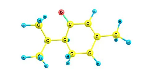 Piperitone molecular structure isolated on white Stock Illustration