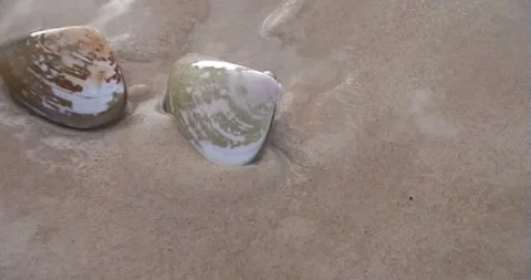 Pipes Stock Footage 242648616