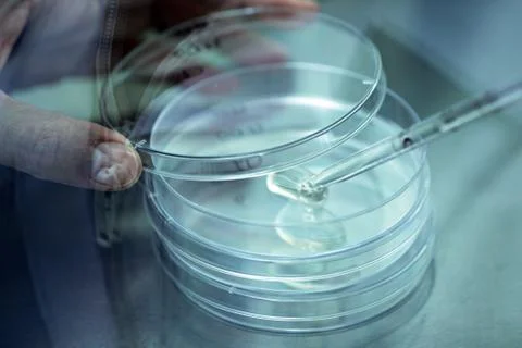 Pipette adding fluid water to test tubes. Stock Photos