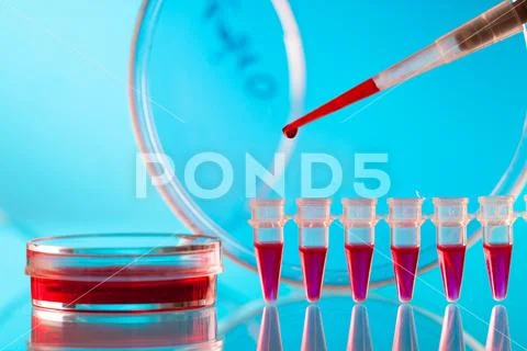 Pipette and Pcr strip Stock Photos