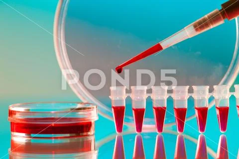 Pipette and Pcr strip Stock Photos