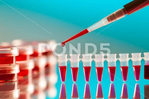 Pipette and Pcr strip Stock Photos