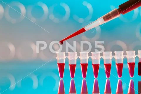 Pipette and Pcr strip Stock Photos