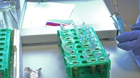 Pipette and Small Plastic Tubes 스톡 동영상 90263637