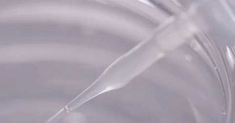 Pipette Drawing Up Liquid Macro 2 Video stock 73077624