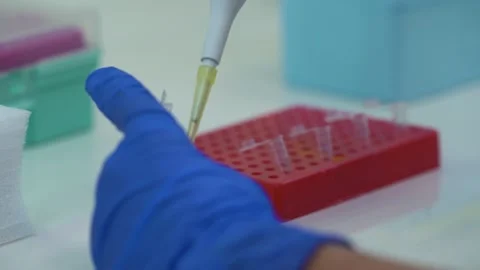 Pipette dripping liquid into test tubes. Stock Footage 153860291