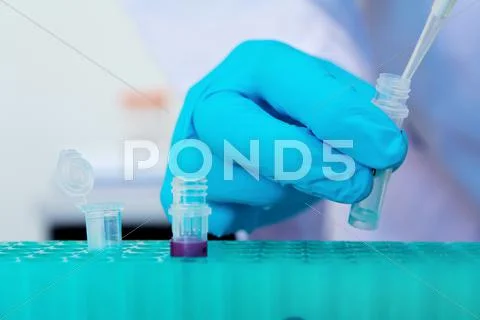 Pipette with drop of liquid in a science research lab. Stock Photos