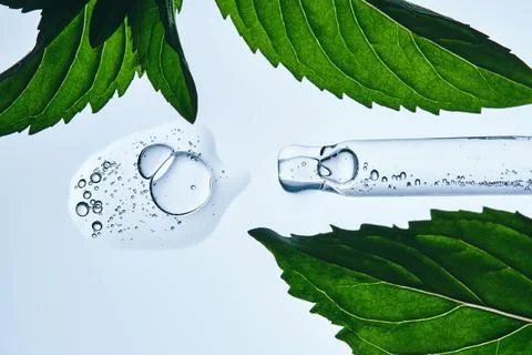 A pipette with a drop of serum in refreshing mint leaves. Stock Photos