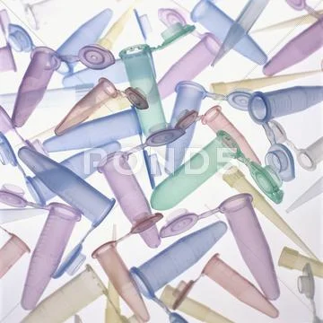 Pipette Tips And Sample Tubes