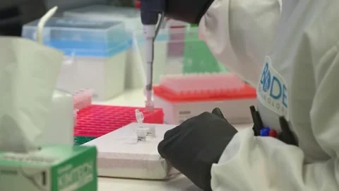 A pipette is used over rows of sample tubes in a crime laboratory testing DNA 스톡 동영상 345299142