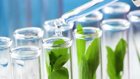 Pipette with water fall intro test tube with plant inside. Stock Footage 90904930