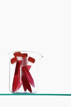 Pipettes in beaker Foto stock