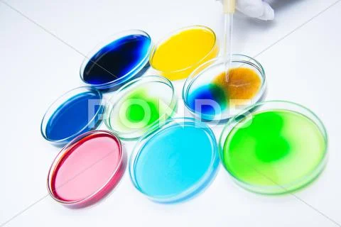 Pipetting coloured liquid into petri dishes Stock Photos