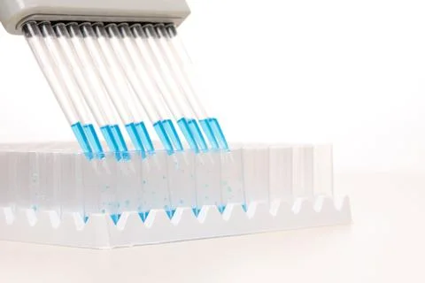 Pipetting - dispensing fluid Stock Photos
