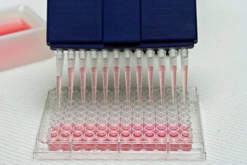 Pipetting experiment Stock Photos