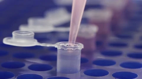 Pipetting Stock Footage 8606112