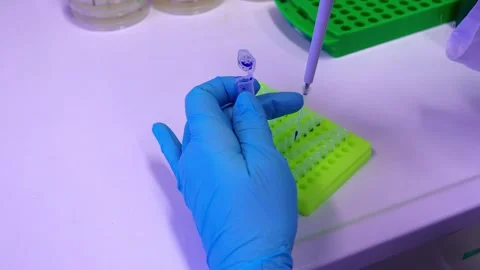 Pipetting loading dye to the PCR reactions. High quality 4k footage Stock Footage 263254852