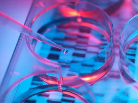 Pipetting sample into tray for DNA testing Stock Photos