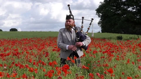 Piping in the Poppies Stock Footage