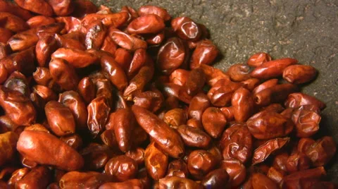 Piquin pepper 스톡 동영상 5296303