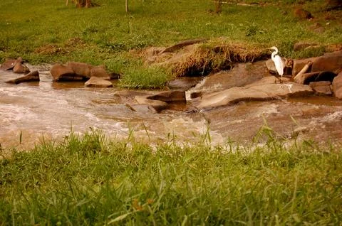 Piracicaba River with the mill in the background 스톡 사진