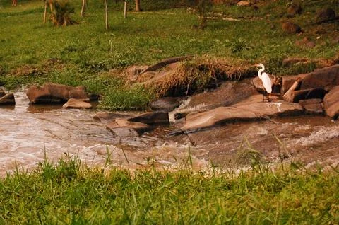 Piracicaba River with the mill in the background Fotos Stock