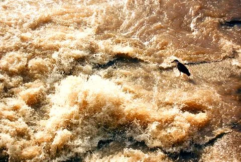 Piracicaba River with the mill in the background 스톡 사진