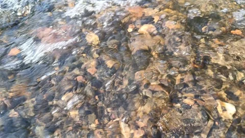 Piracicaba river water flowing Stock Footage 259706935