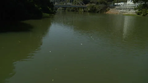Piraí river and bridge - August 15th, 2024 - Piraí, Rio de Janeiro, Brazil Stock Footage 321307816