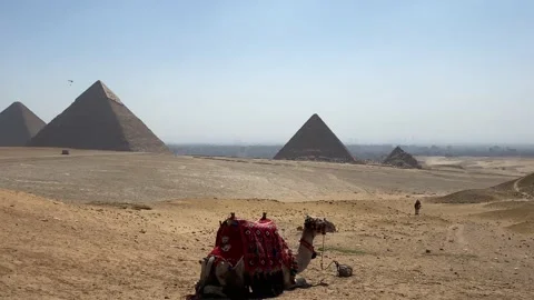 Piramid camel panorama skydiving Stock Footage 195260220
