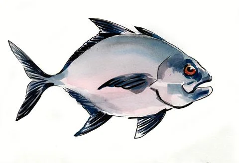 Piranha fish Stock Illustration