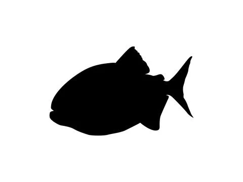 Piranha Fish Silhouette Stock Illustration