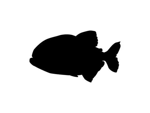Piranha Fish Silhouette Stock Illustration