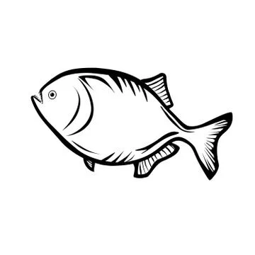 Piranha Stock Illustration