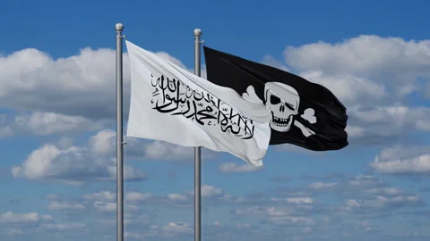 Pirate and Afghanistan two flags Stock Footage 287933563
