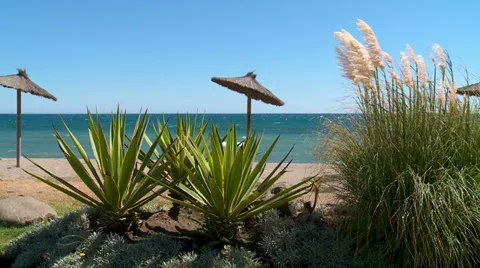 Pirate beach, Spain Stock Footage 31051070