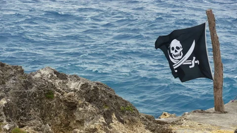 Pirate black flag Jolly Roger with painted white skull and two crossed pirate Stock Footage 225711953