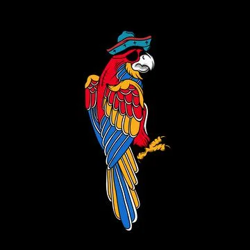 Pirate captain macaw bird vector design Stock Illustration