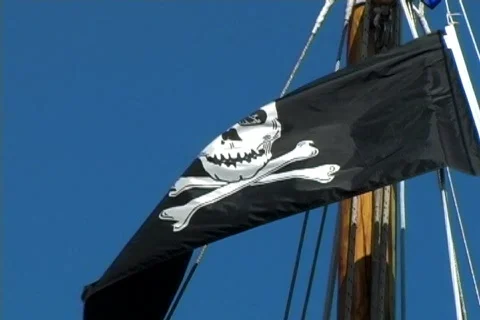 Pirate Flag 2 Video stock 137022