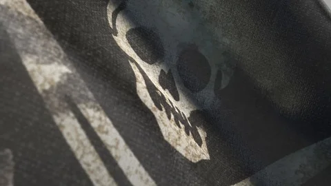 Pirate flag EX Stock Footage 95932910