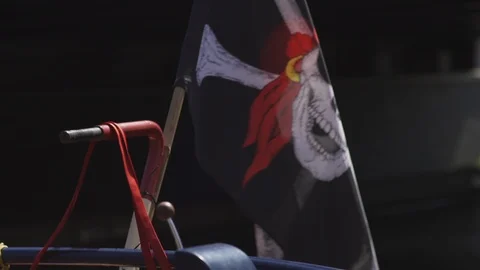 Pirate flag fluttering in breeze Stock Footage 93200611