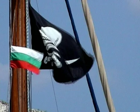 Pirate Flag Stock Footage 84545
