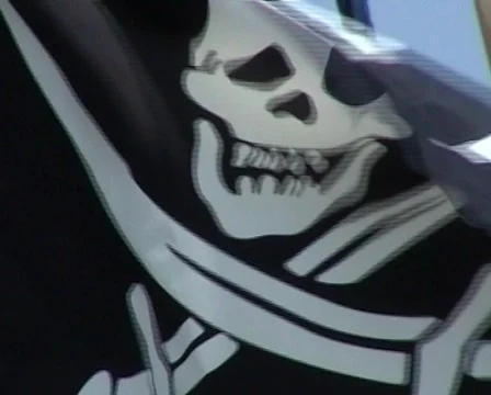 Pirate Flag Vídeo Stock 84546