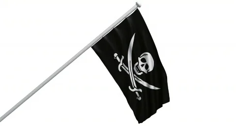 Pirate flag Vidéo 486378